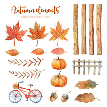 Autumn Elements Watercolor Painting Such As Maple Leaf, Oak Leaf, Walnuts, Pumpkin, Wood Panels, Wood Fence And Red Bicycle. 