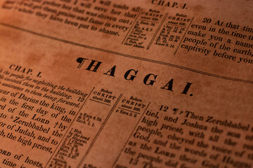 Wall Mural - Haggai