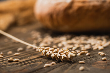 Poster - selective focus of wheat spikelet on wooden surface