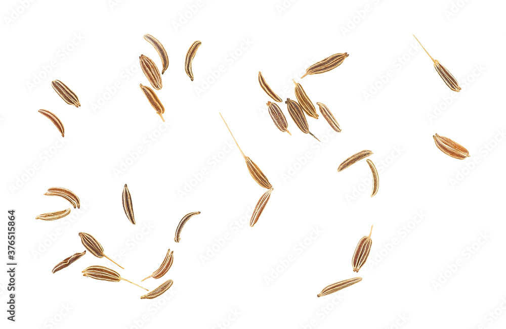 Dried caraway seeds isolated on a white background, top view. Cumin seeds. - obrazy, fototapety, plakaty 