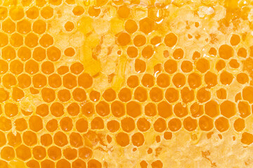 Background texture and pattern of a section of wax honeycomb from a bee hive filled with golden honey