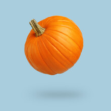 Halloween Pumpkin On A Blue Background. Halloween Holiday Concept