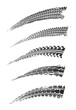 © Vector Tradition - Tire prints, car tyre tracks isolated grunge vector marks. Auto or bike race, vehicle, transportation dirty wheels trace. Abstract monochrome brush stroke pattern, graphic texture, design elements set