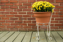 Pot Of Yellow Mums On A Porch With A Brick Background And Room For Copy To The Left