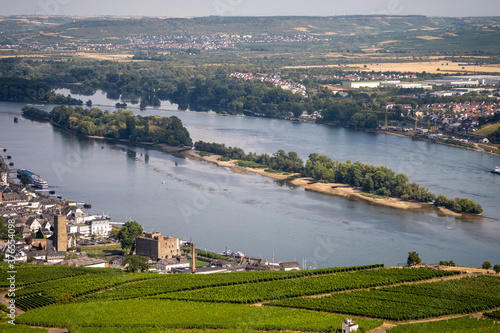 Fotomural view on hillside vineyards along the Rhine River and the fulder aue island in th