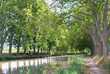the tree lined Canal du Midi near Castelnaudary, Aude, Languedoc-Rousillon, France