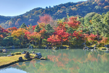 Wall Mural - 天龍寺の曹源池庭園