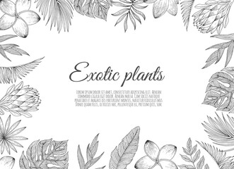 Tropic leaves and flowers background with frame for your text.