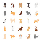 Fototapeta Pokój dzieciecy - cartoon poodle and dogs icon set, flat style