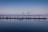 Fototapeta Łazienka - Beautiful scenery with fishing docks and seagulls flying
