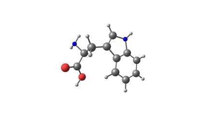 Wall Mural - Tryptophan amino acid rotating video on white