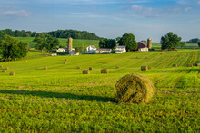 Round Hay Bales On Slightly Rolling Hills In Amish Country.  Farm And Farm House In Background.