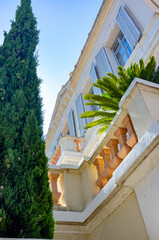 Poster - traditional French Riviera facade with palm tree and cypress tree