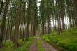 Thüringer Wald bei Schmalkalden