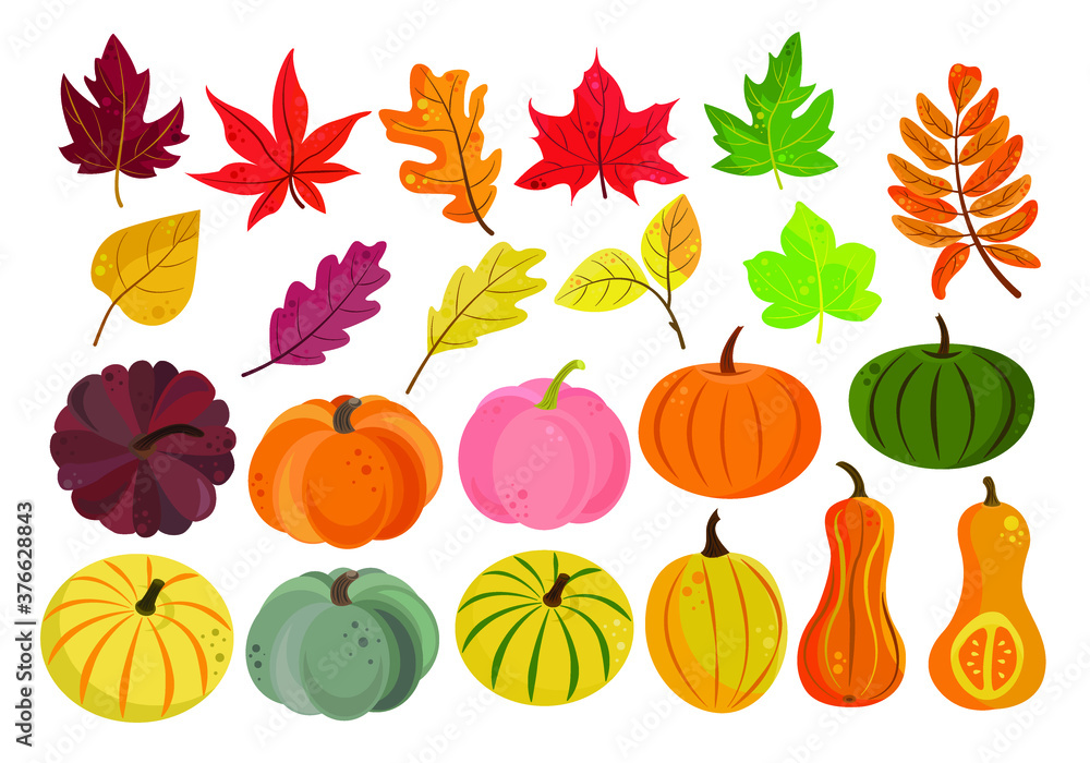 Autumn vector set of colorful pumpkins and leaves in a flat style ...
