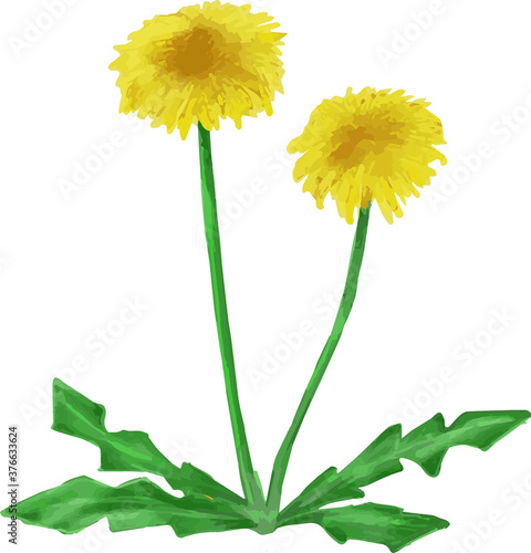 9 400 Pretty Real Spring Wall Murals Canvas Prints Stickers Wallsheaven