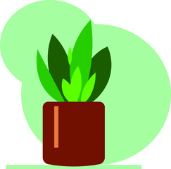 green plant in a pot