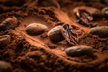 Organic Cocoa Powder With Cocoa Beans
