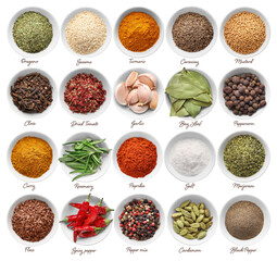 Poster - Collage of various spices and herbs in bowls isolated on white background. Top view.