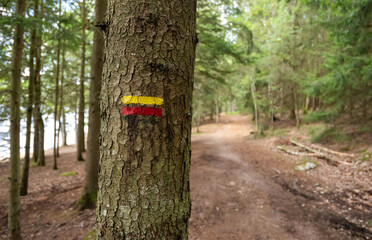 Yellow and red marking painted on a tree to assist and guide hikers on a long-distance trail or 