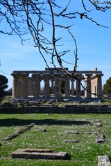 templi di paestum