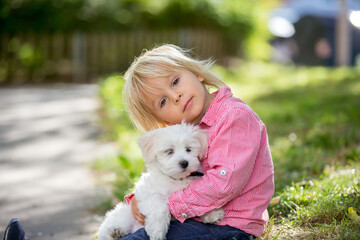 Sticker - Child, cute boy, playing with dog pet in the park, maltese dog and kid enjoying friendship