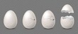 Cracked egg. Realistic white chicken eggs, whole broken with cracks and debris eggshell. Culinary cooking nutrition ingredient, bird incubator vector isolated on transparent background set