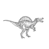 Fototapeta Dinusie - Prehistoric Dinosaur Doodle Vector Illustration. Hand Drawn Spinosaurus Reptile Engraving Style Drawing.