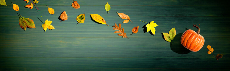 Autumn pumpkin with colorful leaves overhead view - flat lay