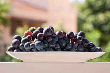 Wall Mural - Bunch of dark grapes on table