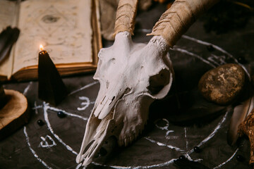 Wall Mural - White goat scull with horns, open old book, magic spells, runes, black candles