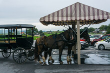 Horses And Buggy Tied Up To A Parking Pole Among Cars In A Rural Area In Lancaster