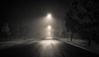 © Tandem Stock - Street light illuminated on road at night