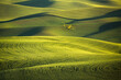 © Tandem Stock - View of crop duster flying over field