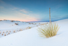 Scenic View Of White Sand Desert Landscape Against Sky