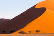 © Tandem Stock - View of sand dune in desert