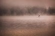© Tandem Stock - Man paddleboarding in misty Mirror Lake