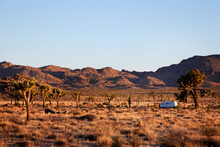 View Of Joshua Trees Against Mountain In Joshua Tree National Park