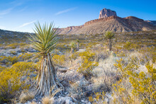 View Of Guadalupe Mountains National Park