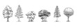 Forest park trees icons set. Outline hand drawn set of forest park trees vector icons for web design isolated on white background