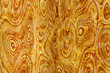 wave burl wood texture design
