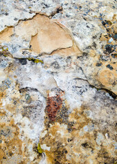 Rocky Texture in Red Rock Canyon