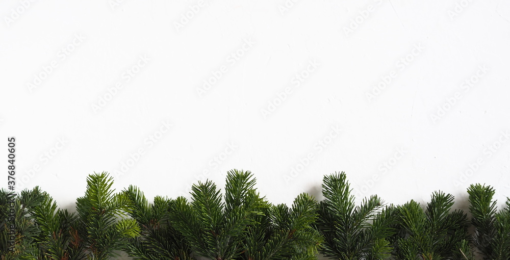 Branches of a Christmas tree are lined on a white background. New Year ...