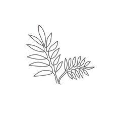 Wall Mural - Single continuous line drawing of tropical leaves plant. Printable poster decorative houseplant concept for home wall decor wallpaper ornament. Modern one line draw design graphic vector illustration