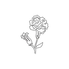 Wall Mural - Single continuous line drawing beauty fresh dianthus for home decor poster wall art. Printable decorative carnation flower for wedding invitation card. Modern one line draw design vector illustration