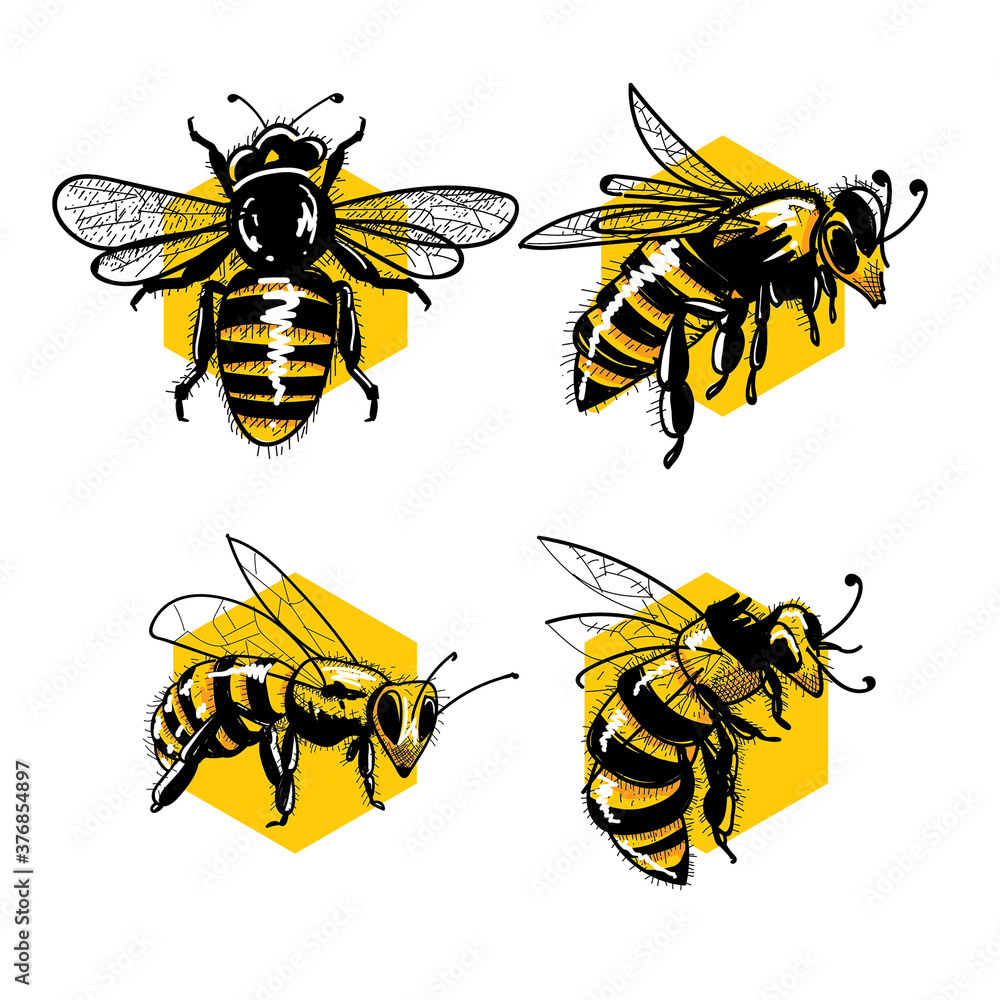 set of hand drawn bee illustration Stock Vector | Adobe Stock