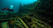 Diver explores the Van Valkenburg shipwreck at Thunder Bay National Marine Sanctuary.