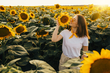 Picture of beautiful young woman enjoy her summer time among growing up sunflowers. July August harvest period. Sunrise or sunset.