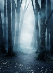 A quite and mysterious forest covered in mist with a pathway running through it. Photo composite.