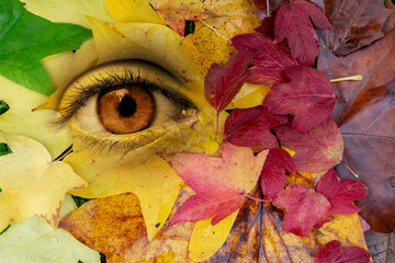 Wall Mural - Eye in a background of autumul leaves. Earth, environment, living nature personification concept. Surreal digital collage.